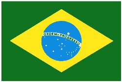 ブラジル在留更新